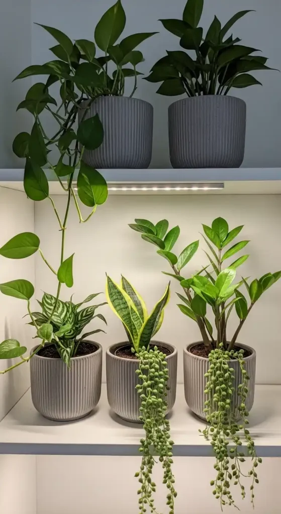 decorative-cachepots-on-shelves