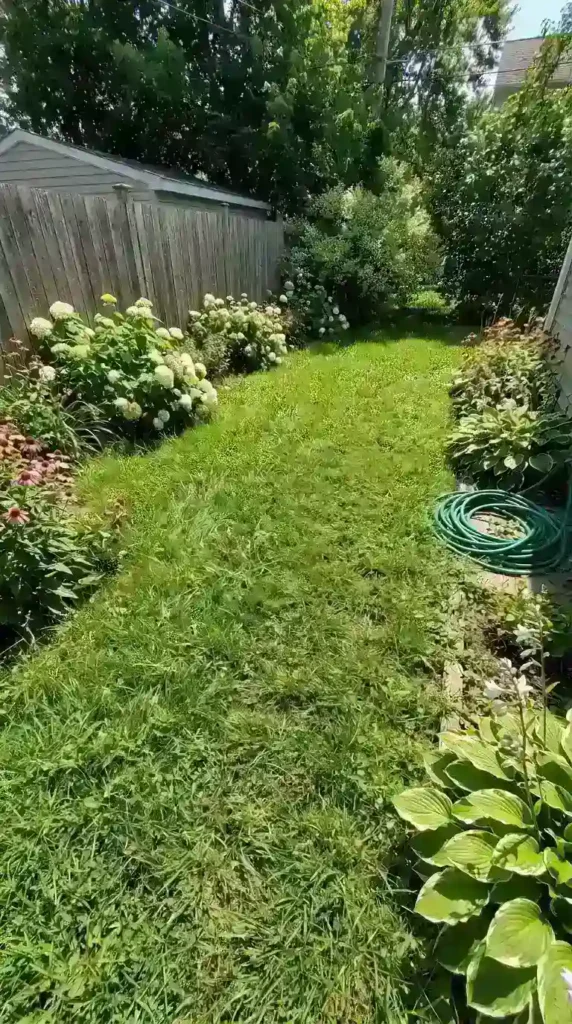 build-a-diy-garden-path